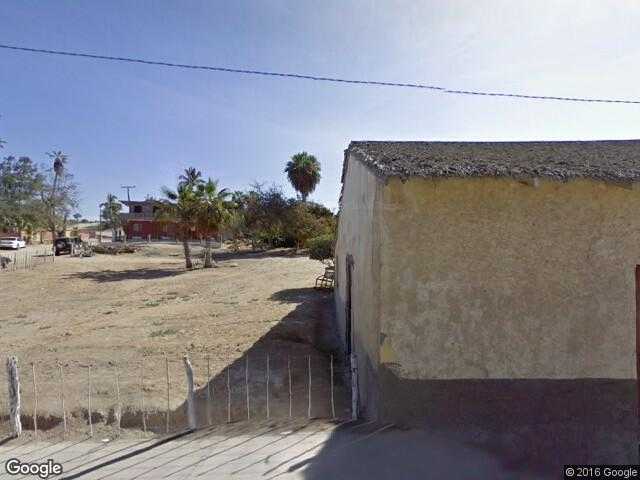 Image of Cardonozo, La Paz, Baja California Sur, Mexico
