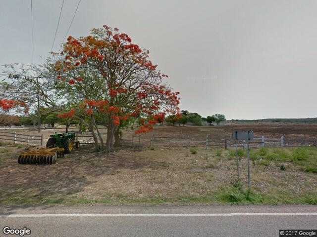 Image of Chencollí (Citro-Kampeche), Campeche, Campeche, Mexico
