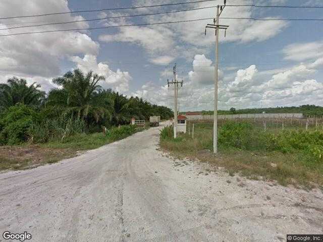 Image of Ninguno [Palmicultores del Milenio del Estado de Campeche], Carmen, Campeche, Mexico