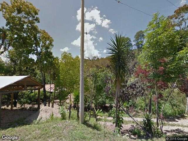 Image of Cañada del Bosque, Ocosingo, Chiapas, Mexico