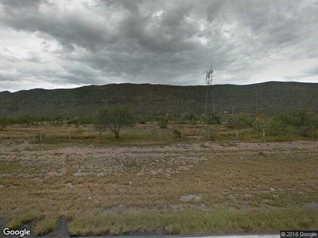 Image of Mezquite (Santa Inés), Saltillo, Coahuila, Mexico