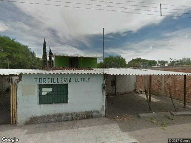 Image of El Tule, Abasolo, Guanajuato, Mexico