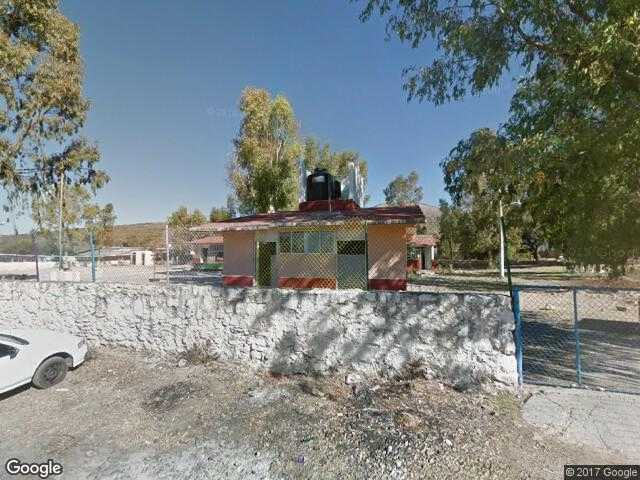 Image of Palo Blanco de Ávila, Pénjamo, Guanajuato, Mexico