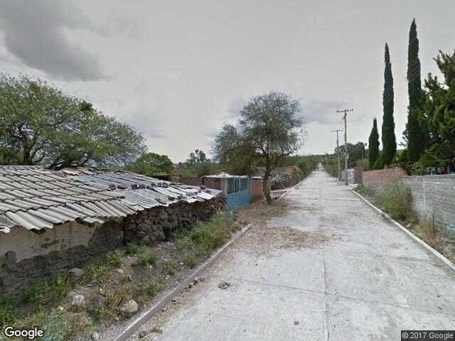 Image of Palo Blanco del Refugio, Acámbaro, Guanajuato, Mexico