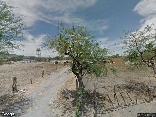 Image of Santa Rita (Ejido Refugio de Ayala), Cuerámaro, Guanajuato, Mexico
