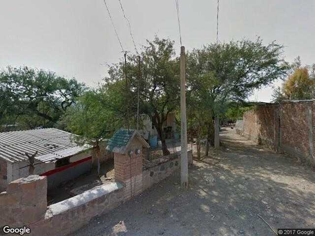 Image of Xoconoxtle, Comonfort, Guanajuato, Mexico