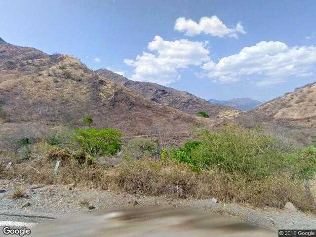 Image of Ceiba Mocha, Coyuca de Catalán, Guerrero, Mexico