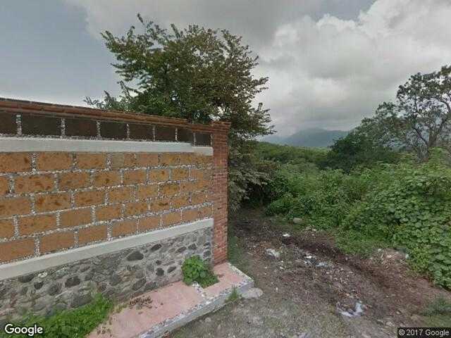Image of El Amate Amarillo, Miacatlán, Morelos, Mexico
