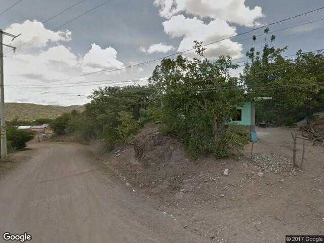 Image of Nopalera (Guelaxóchitl), San Luis Amatlán, Oaxaca, Mexico