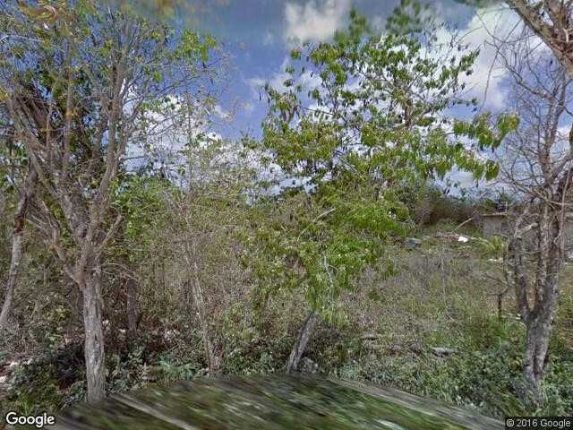 Image of El Bosque, Cozumel, Quintana Roo, Mexico