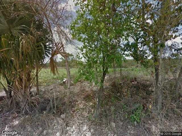 Image of El Cenote, Othón P. Blanco, Quintana Roo, Mexico