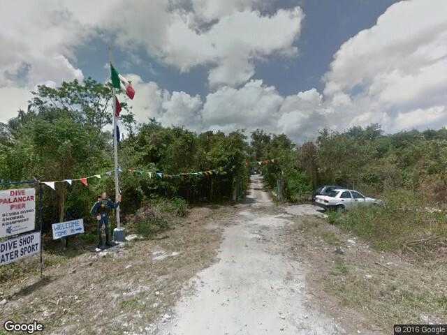 Image of Iguanas Ranas, Cozumel, Quintana Roo, Mexico