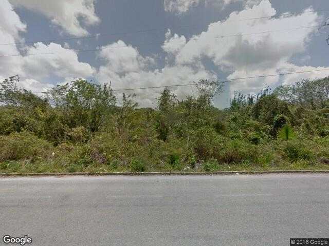 Image of Palmar Primero, Cozumel, Quintana Roo, Mexico