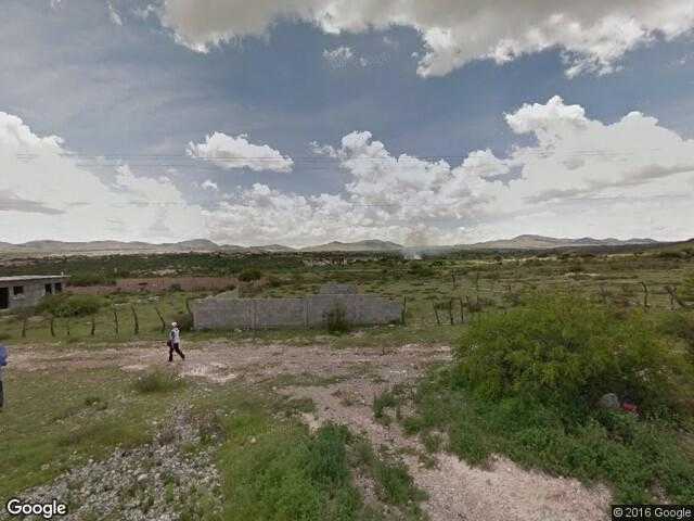 Image of Clavellina, Charcas, San Luis Potosí, Mexico