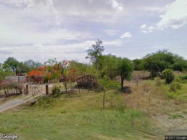 Image of El Borrón, San Vicente Tancuayalab, San Luis Potosí, Mexico