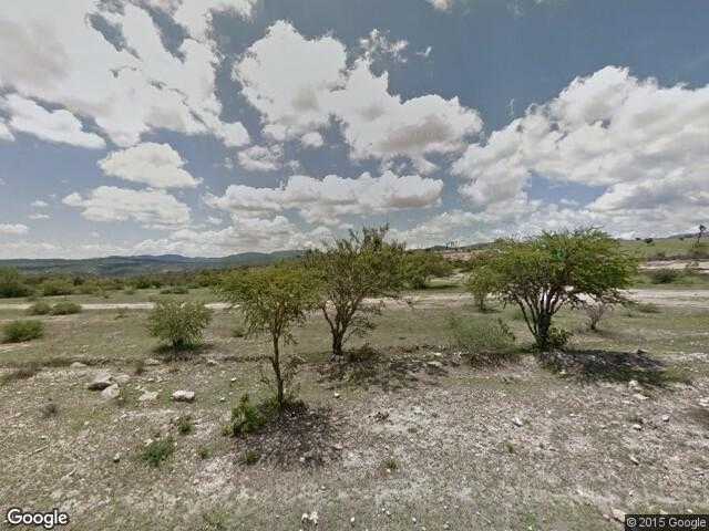 Image of Las Víboras, Armadillo de los Infante, San Luis Potosí, Mexico