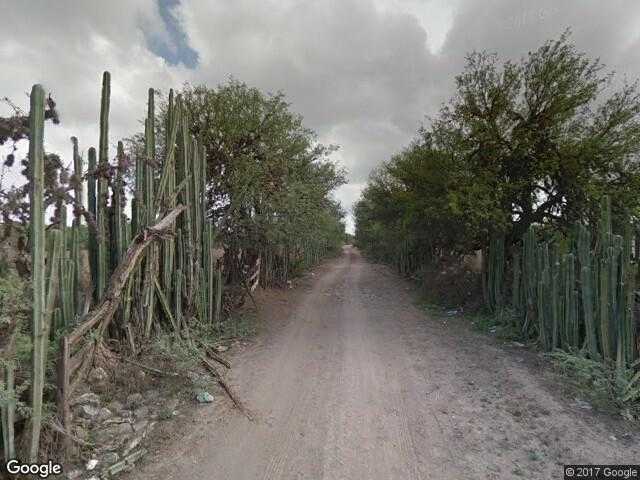 Image of San Vicente, Villa Hidalgo, San Luis Potosí, Mexico