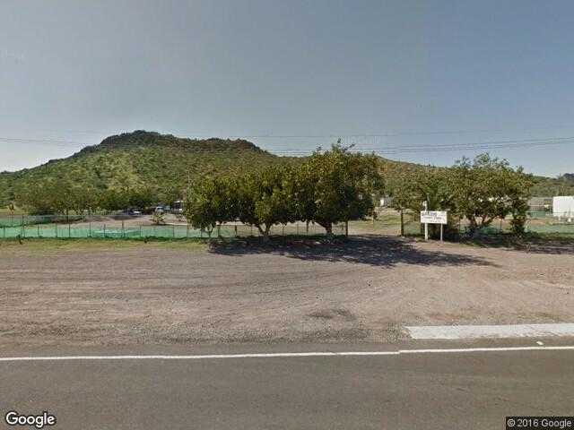 Image of El Cactus, Hermosillo, Sonora, Mexico