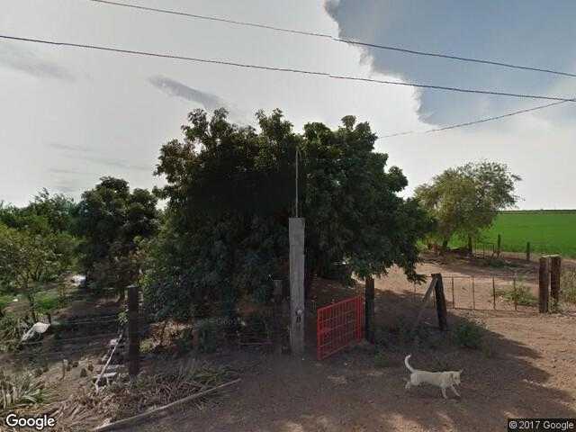 Image of El Sacrificio [Nopalera], Cajeme, Sonora, Mexico