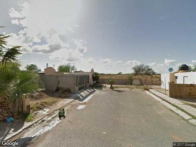 Image of Los Cochitos Palo Verde, Hermosillo, Sonora, Mexico