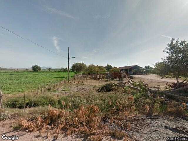 Image of Rancho Bajío las Palmas, Cajeme, Sonora, Mexico