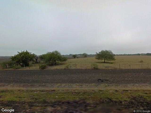 Image of El Alacrán, González, Tamaulipas, Mexico