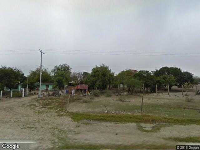 Image of El Pino, El Mante, Tamaulipas, Mexico