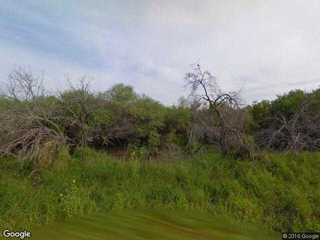 Image of Río Grande [Agroporcícolas], Matamoros, Tamaulipas, Mexico