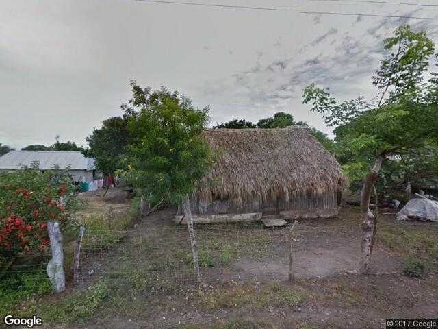 Image of Mata Verde, Tlalixcoyan, Veracruz, Mexico