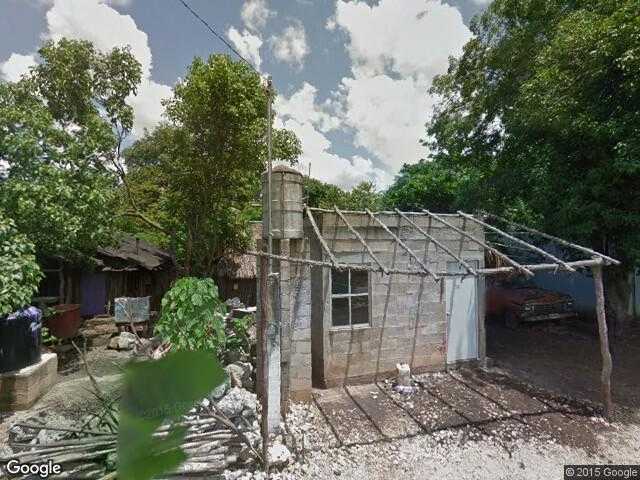 Image of Cocoyol, Chemax, Yucatán, Mexico